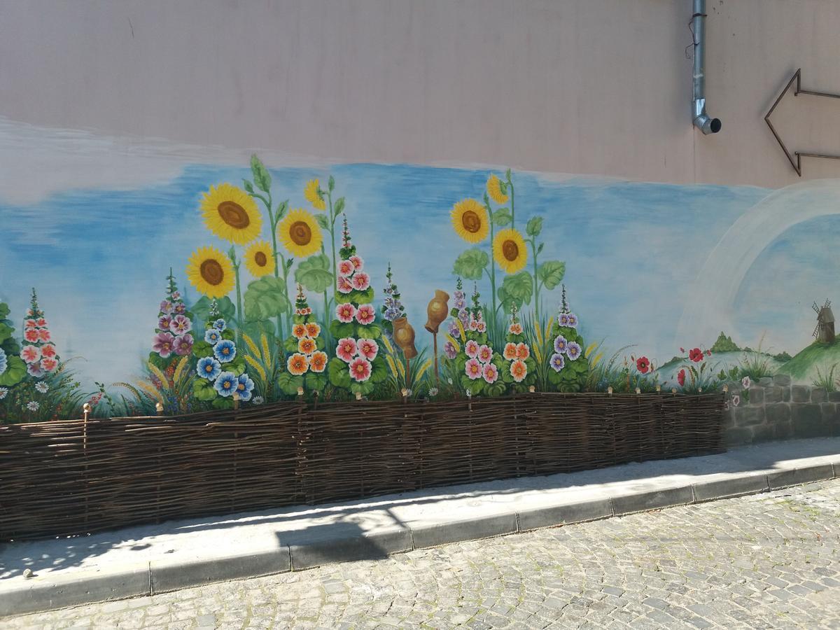 Уютные Апартаменты В Самом Сердце Старого Города Kamjanets-Podilskyi Eksteriør billede