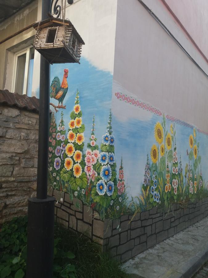 Уютные Апартаменты В Самом Сердце Старого Города Kamjanets-Podilskyi Eksteriør billede
